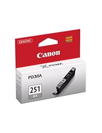 Canon CLI-251 GY Gray Ink