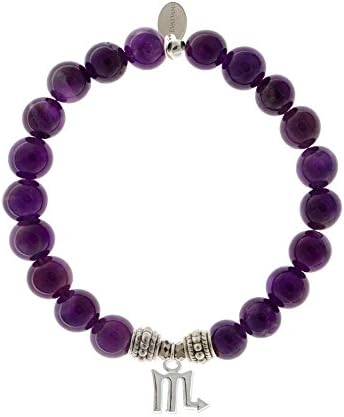 EvaDane Natural Semi Precious Amethyst Gemstone Rope Bead Scorpio Charm Stretch Bracelet - Size 7 Inch ( 1_AME_S_R_SCO_7)