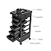 Salon SPA Rolling Trolley Storage Cart Coloring Beauty Salon Hair Dryer Holder with 5 Drawers for Tool Storage (Plastic)thumb 1
