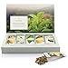 Tea Forte Green Tea Assortment Single Steeps Loose Leaf Premium Tea Gift Set Sampler, 15 Count 3 of Each Assorted Blends, Pre-Portioned Single Serve Pouches, Steeps 12 oz