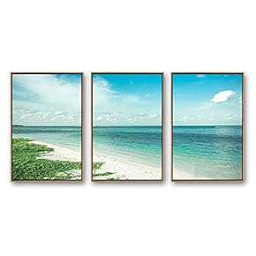 Framed Canvas Wall Art for Living Room, Bedroom Ocean Sea Beach Canvas Prints for Modern Home Decoration Ready to Hang - 16"x24"x3 Panels