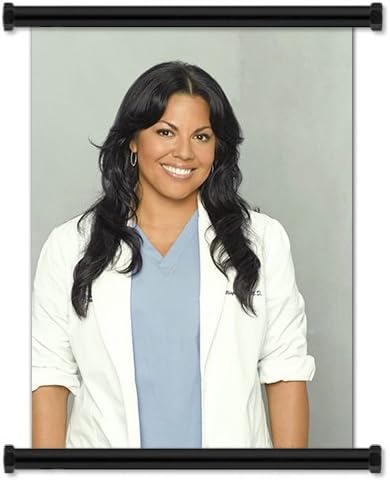 anatomia de grey amazon