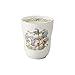 Noritake X Studio Ghibli Neighbor Totoro Japanese Teacup Yunomi TT97880/4924-11