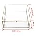 Vintage Brass & Clear Glass Decorative Box, 9.5-Inch Plant Terrarium Display, Jewelry Organizer with Lid