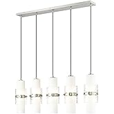 Z-Lite 1946P-5L-BN Cayden Chandelier, 5-Light 300 Total Watts, Brushed Nickel