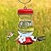 Perky-Pet 132TF 24-Ounce Glass Top Fill Hummingbird Feeder,Red,Large