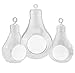 Light Bulb Glass Terrarium Set of 3 Pieces (1 Large & 2 Small); Planters for Air Ferns, Succulents and Dioramas