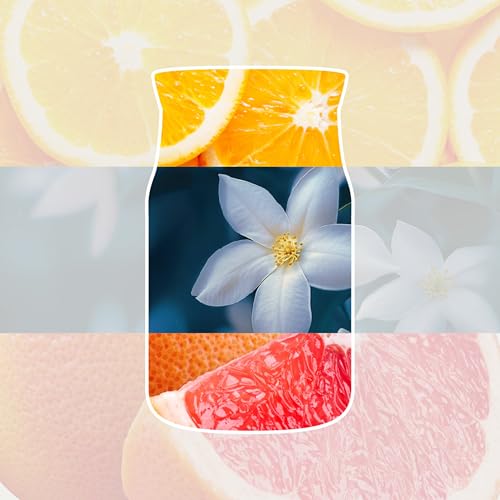 Yankee Candle Difusor de varillas | Noche de verano | Para espacios pequeños y medianos | Hasta 10 semanas de fragancia