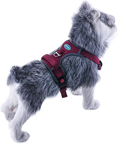 think pet harness