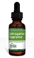 Gaia Herbs - Astragalus Supreme 4 oz