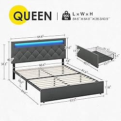 Rolanstar Queen Size Bed Frame with LED Lights and