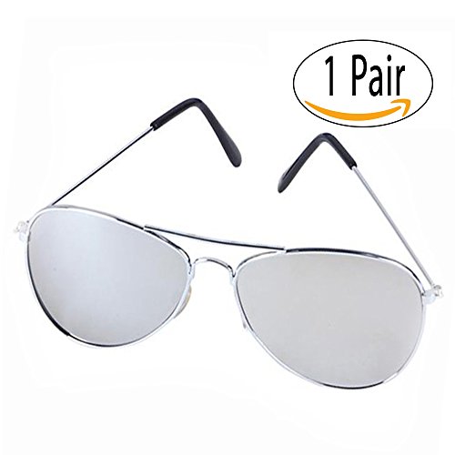 Silver Aviator Sunglasses - Costume Glasses - 70's Style Sunglasses Party Favors