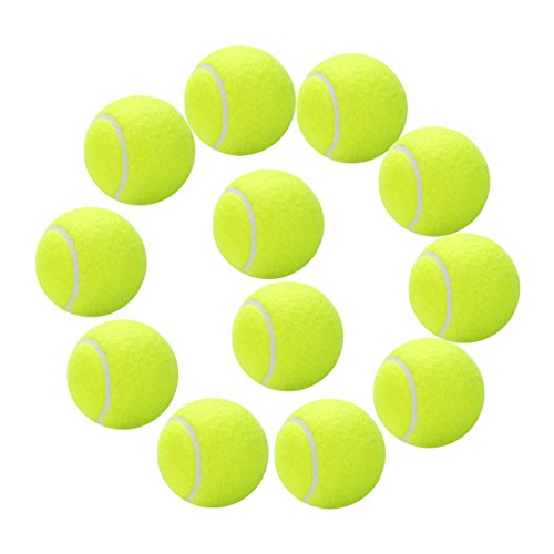12 Pack Training Tennis Balls-IANONI Great Tennis Balls For Lessons,Practice,Playing With Pets-Closeable Mesh Carrying Bag For Easy Transport And Storage
