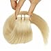 TheFashionWay Brazilian Human Hair Extensions Tape in Silky Straight Weft Remy Virgin Hair (16 inches, #60)
