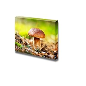 Cep Mushroom Boletus Growing in Autumn Forest Wall Decor