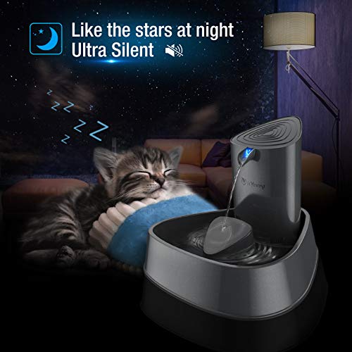 isYoung Cat Fountain, LED Pet Water Fountain Ultra Quiet Automatic Pet Water Dispenser with Adjustable Water Flow and Activated Carbon Filter for Dogs, Cats, Birds and Small Animals (1.5L, Grey)
