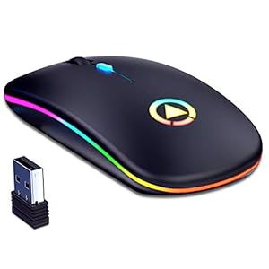 CAICOME Wireless Mouse Rechargeable, Ultra Slim 1600 DPI Mini 2.4G PC Computer Laptop Cordless Mice with USB Receiver…