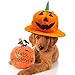 DomeStar Halloween Pumpkin Hat ，Jack-O-Lantern Hat Halloween Hat Halloween Trick-or-Treat Birthday Party Favors