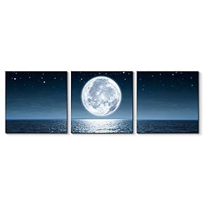 Canvas Wall Art Beautiful Moon Painting Artwork for Home Prints Framed - 12"x12"x3 Panels