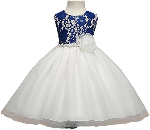 Wgwioo Flower Girls Dress Lace Tulle Chiffon Wedding Pageant Bridesmaid Christening Gown Dresses Birthday Party Princess Kids Clothes Children Skirt
