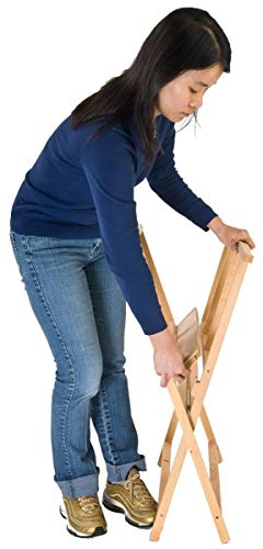 4 Displays2go+Artwork+Storage+X+Frame+Renewed