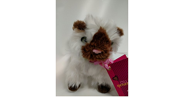 our generation ragdoll kitten