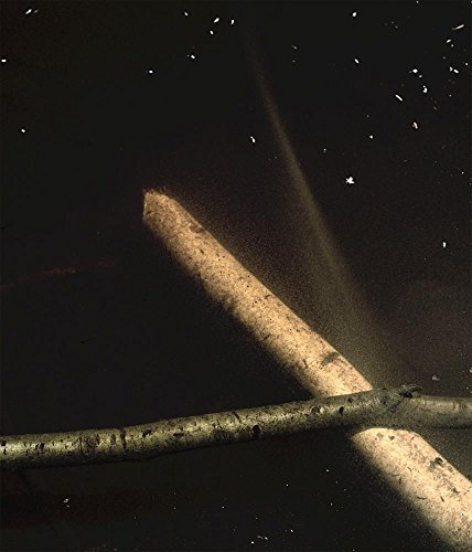 [Book] Comme un murmure / Like A Whisper<br />T.X.T