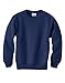 Hanes Youth EcoSmart Crewneck Sweatshirt - Navy - Long Sleeve - Male