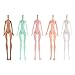 Fenteer Custom Moveable Joints Nude Doll Body Mold for Monster High Dolls DIY Making and Repairing Accessory Set of 5 Pieces