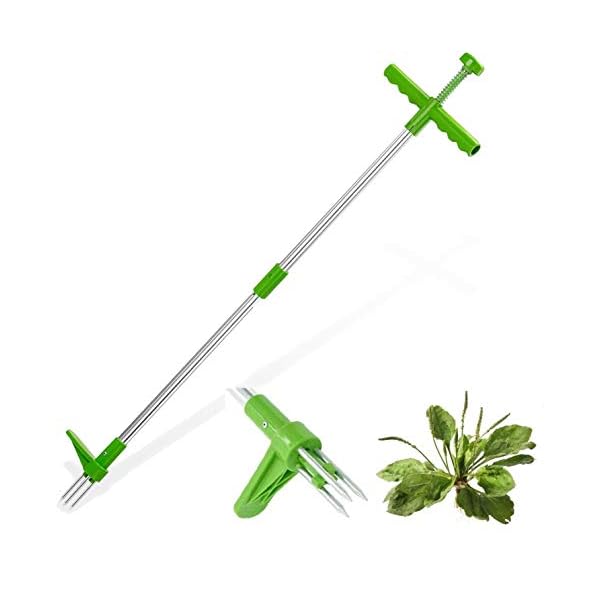Betim Stand Up Weed Puller Root Removal Tool With 3 Stainless Steel Claws 39 Inch Long Handle Garden Hand Weeding Tool Manual Remover Weed Extractor For Backyard Lawn Patio Come On And Shop