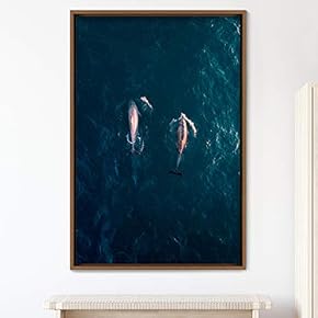 signwin Framed Canvas Wall Art Fish on The...