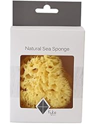 Kyte BABY Natural Sea Sponge Harvested from The Gulf of Mexico, 4 to 5 Inches