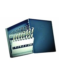 Champion Herramientas de Corte 120 C 705 Propósito general HSS 61 80 Wire Gauge Micro Set de brocas, diseño navideño