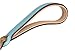Soft Touch Collars - Leather Braided Dog Leash with Padded Handle, Turquoise and Beige, 6 Foot x 3/4 Inch
