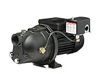 Red Lion PWJET50 Cast Iron Shallow Well Jet Pump Wells up to 25 Feet
