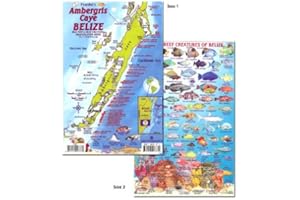 FRANKOSMAPS Franko Fish ID Card of Ambergris Caye Belize Reef Creatures