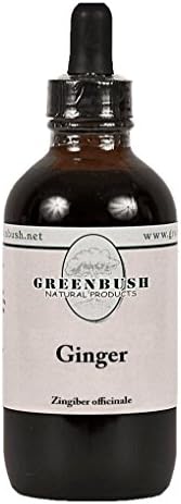 Ginger Root Alcohol-free Concentrated Liquid Extract. Value Size 4oz Bottle (120ml) 240 Doses of 500mg. 1:1 Strength: 1ml = 1000mg. Super Antioxidant Gingerol for Optimal Health and Balance