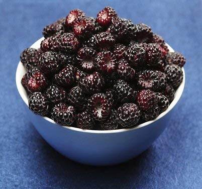 Northwest Wild Foods Fresh Frozen Black Raspberries 4.5 lbs - Antioxidant-Rich for Smoothies, Pies, Jams & Snacks