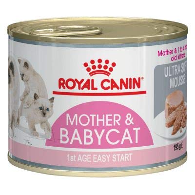 Royal Canin First Age Mother & Babycat Mousse 6 x 195g