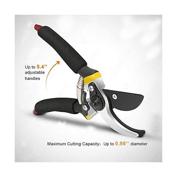 HEMIZA Gardening Tools Garden Shears Sharp Cutter Pruners Scissor, with Safety Lock Pruning Seeds with Grip-Handle… - Image 3