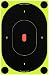 9" Birchwood Casey Shoot - N - C Self - Adhesive Silhouette Targets