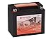 Genuine SigmasTek YTX12-BS / STX12-BS Sealed Maintenance Free ATV Quad Motorcycle Scooter Moped Replacement Battery
