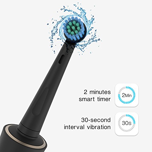 Купить Fairywill Sonic and Rotary в интернетмагазине Amazon с