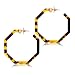 Acrylic Hoop Earrings Upgraded Geometric Resin Earrings Delicate Acetate Stud Dangle Earrings for Women Girls