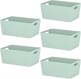 Niftii 5-Pack Plastic Storage Baskets with Handles 3.9L 17x25x11cm