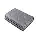 HYPNOSER Weighted Blanket for Kids, Pets (5 lbs, 36