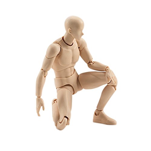 Action Figure Model, Tulas Male/Female Body Chan Kun PVC Doll with Accessories Kit for Drawing, Sketching, Painting, Artist,Youth Jersey Cartoon, SHF