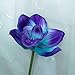 Lily Garden Artificial Flowers Real Touch Orchid Set of 10 (Purple)