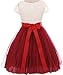Cap Sleeve Lace Top Tulle Shiny Stone Belt Easter Graduation Flower Girl Dress