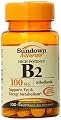 Sundown Naturals High Potency B2, Riboflavin,100 mg, 100 Tablets (Pack of 4)